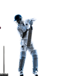 fantasy cricket